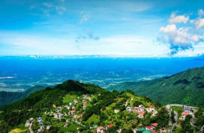 Về Tam Đảo thưởng thức mật ong rừng nguyên chất