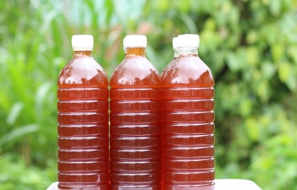 Tìm hiểu về mật ong nguyên chất