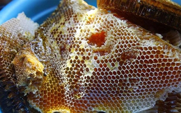 mật ong rừng nguyên chất